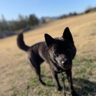 なっちゃんさんのアイコン画像