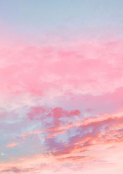 西の姫は愛される