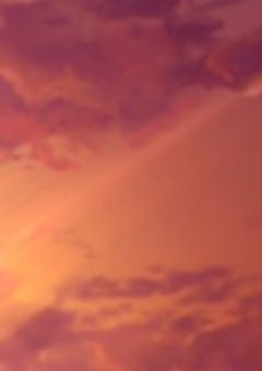 お互い幸せになりましょうね