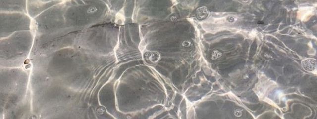 まくらさんの壁紙画像