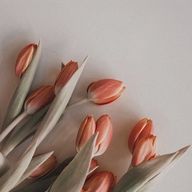 なのちゃん🍯🥜さんのアイコン画像