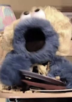 ✧　垢変更と活動について　✧