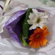 ちささんのアイコン画像