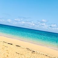 自称５軍男子さんのアイコン画像