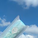 世界のお姉さん