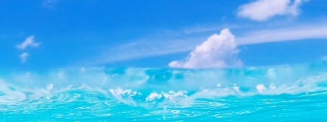 天田せなさんの壁紙画像
