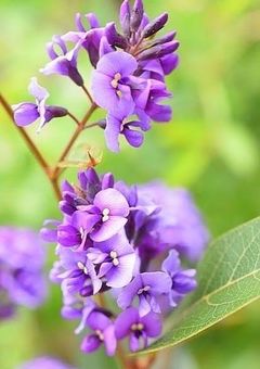 【リクエスト小説】この恋、込めて