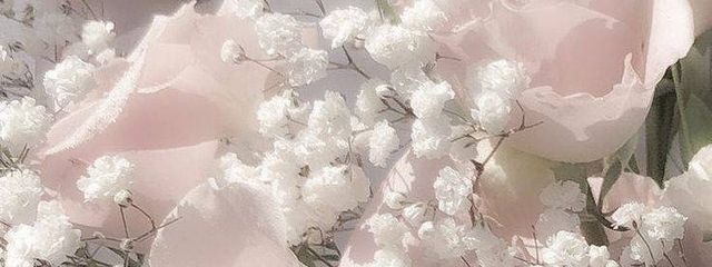 穂里さんの壁紙画像