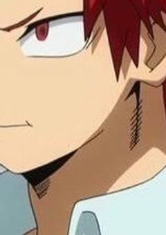 切島君の姉、プロヒーロー