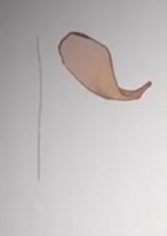 歌い手色々☆(更新停止中)