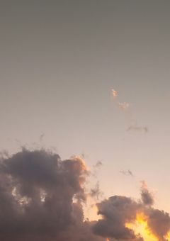 蒼帝千樹軍事学園～僕は君に恋をした～