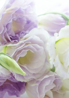 浮気症の彼とちょっぴり依存症の俺