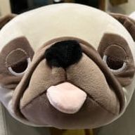🐶さんのアイコン画像