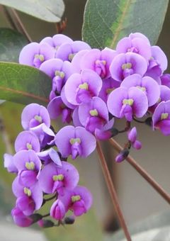 なんかやるキャラ