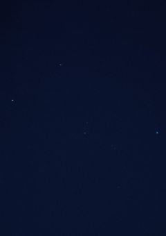 お前らなんて大ッ嫌いだッ…