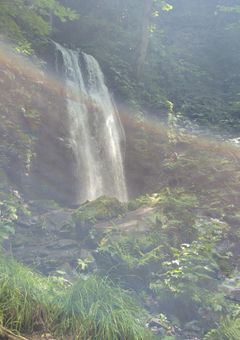 ↺　この世　に　は　クソ　野郎　しか　いない　らしい　っす　ね　。　はい　　