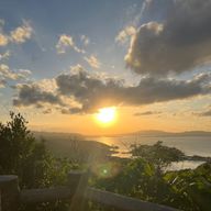 よゎちゃんさんのアイコン画像