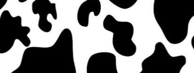 ボムさんの壁紙画像