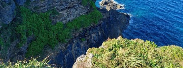 なーるさんの壁紙画像