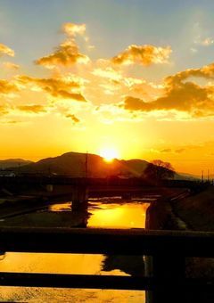 きみに逢いたくて