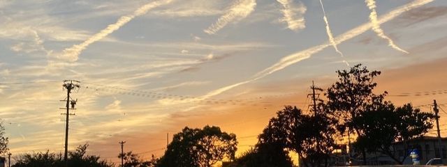 さく（朔．ｻｸ）さんの壁紙画像