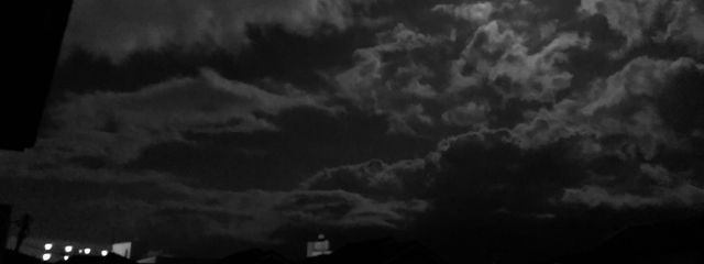 とらねこさんの壁紙画像