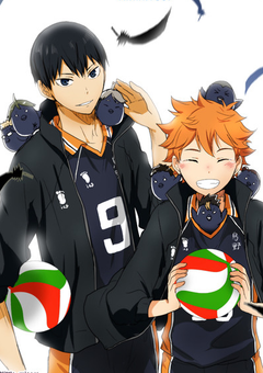 入学するはずの学校に行けなくなったので烏野に入ります