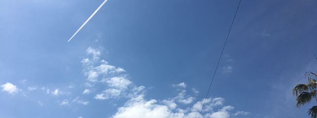 デラ〆大会が近いので一旦中止さんの壁紙画像