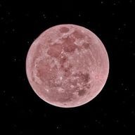 藤吉(新アカ)さんのアイコン画像