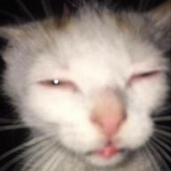 XION さんのアイコン画像