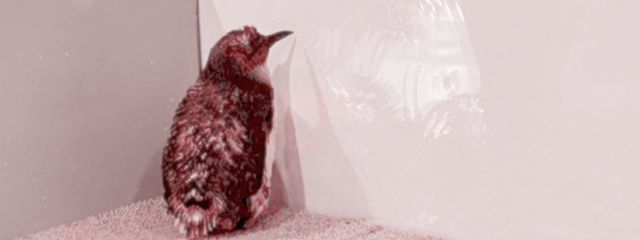 見え　。　さんの壁紙画像