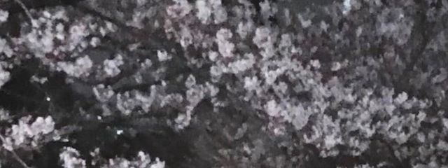 にーずさんの壁紙画像
