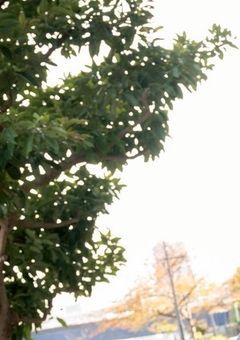 恋をしてみたら倍になって返ってきた件.