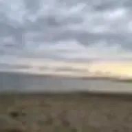 しぃさんのアイコン画像