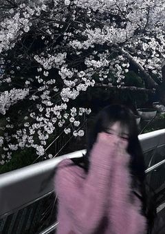 桜 が 散 る 頃 に 。
