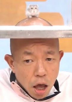 黒ねこの部屋