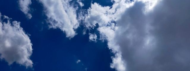 紫雨さんの壁紙画像