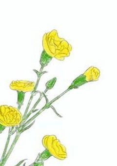 なんか嫌われてたんですけど。