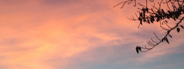 クラブ🦀さんの壁紙画像