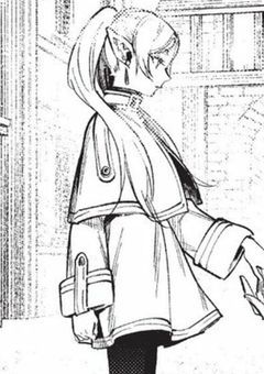 フリーレンの妹はY学園に。