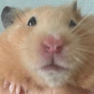 ともるさんのアイコン画像
