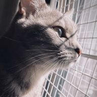 mzkさんのアイコン画像