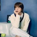 진