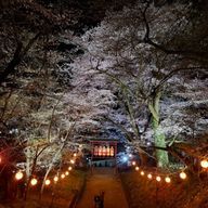 あゃさんのアイコン画像