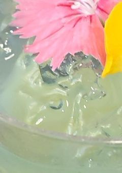 転生したらplotの○○の妹になってた！？