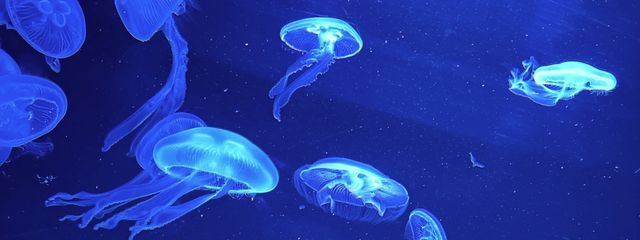 千迅さんの壁紙画像