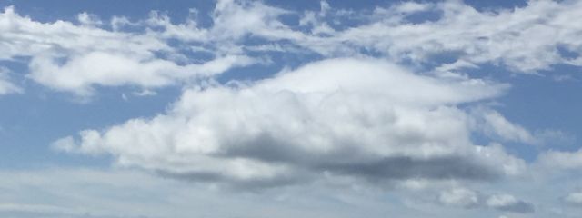 piaさんの壁紙画像