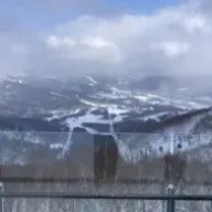 雑食野郎さんのアイコン画像