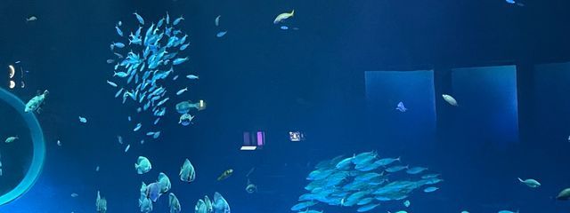 🌐そらいろ🌐さんの壁紙画像