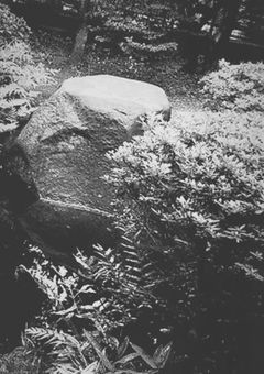 今でも君は綺麗だ。